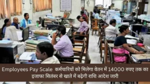 Employees Pay Scale